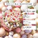 الصورة الأولى 1.webp