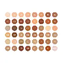 الصورة الأولى 1.webp