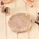 الصورة الأولى 1.webp