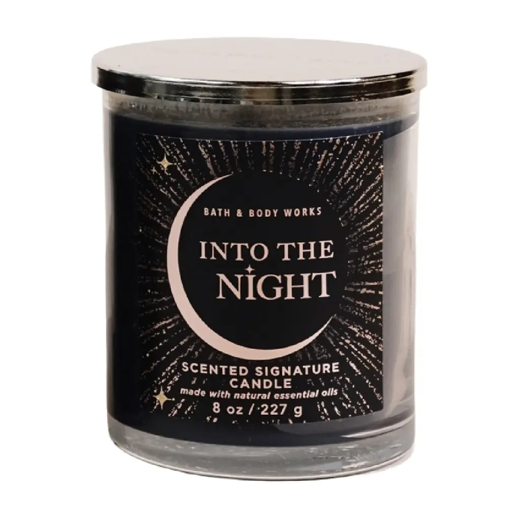 BATH & BODY WORKS - INTO THE NIGHT CANDLE 227G