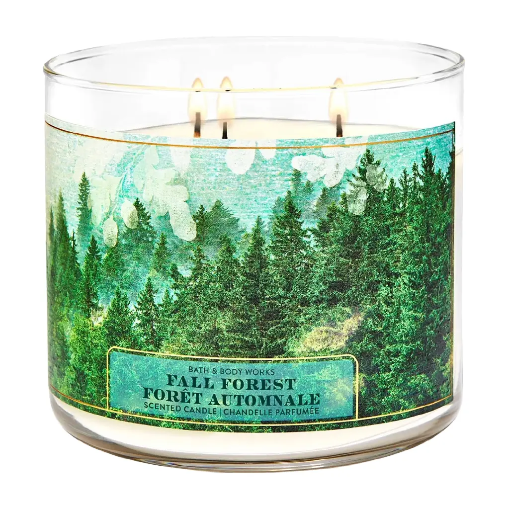 BATH & BODY WORKS - FAIL FOREST CANDLE 411G